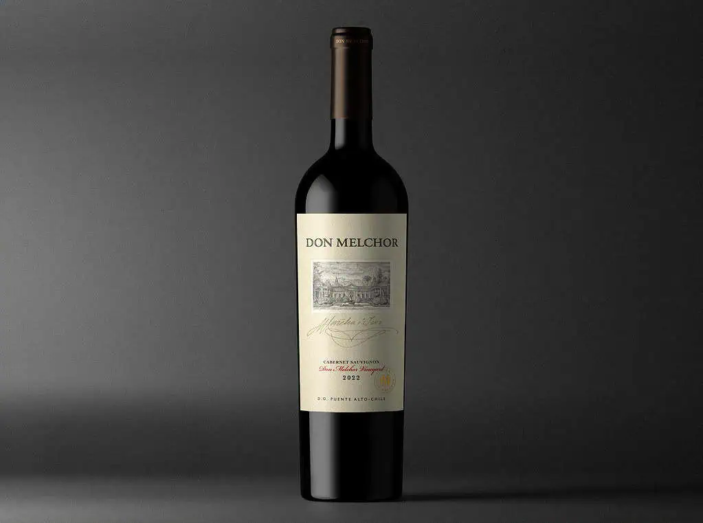 El vino chileno que, tras ganar importante reconocimiento, aumentó sus exportaciones en un 500 %: ¿cuánto facturan? El viñedo de Don Melchor está ubicado en una zona privilegiada de Chile. Foto: cortesía Don Melchor.