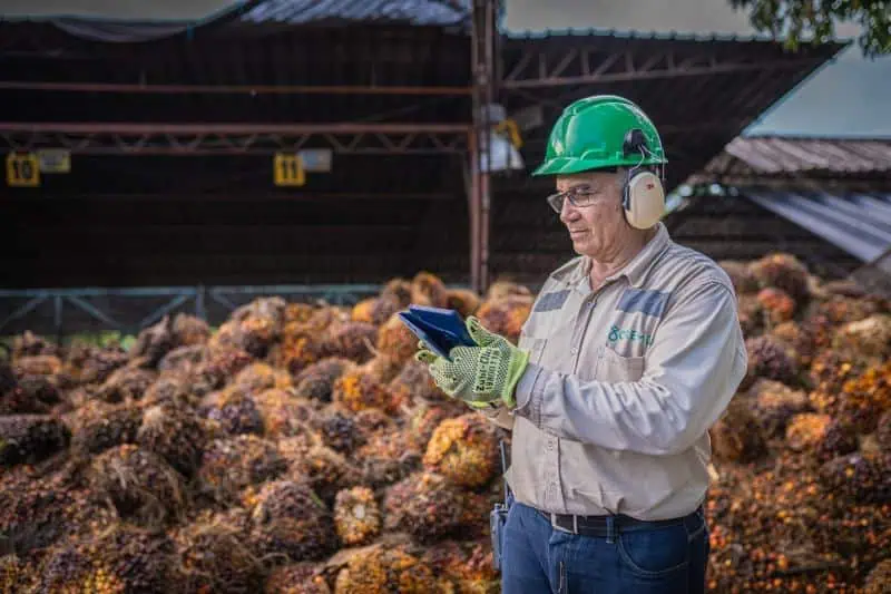 Gremca se convirtió en la primera palmicultora en el mundo en certificar sus productos como libres de deforestación Certificación Gremca