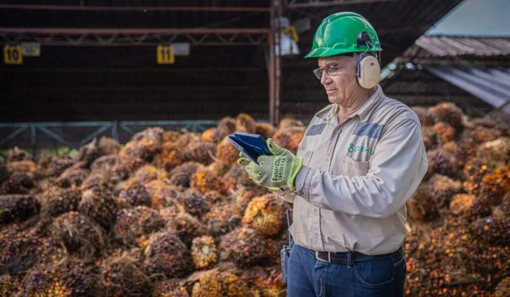 Gremca obtuvo importante reconocimiento internacional: Así convierten el aceite en biocombustible Gremca obtuvo importante reconocimiento internacional: Así convierten el aceite en biocombustible