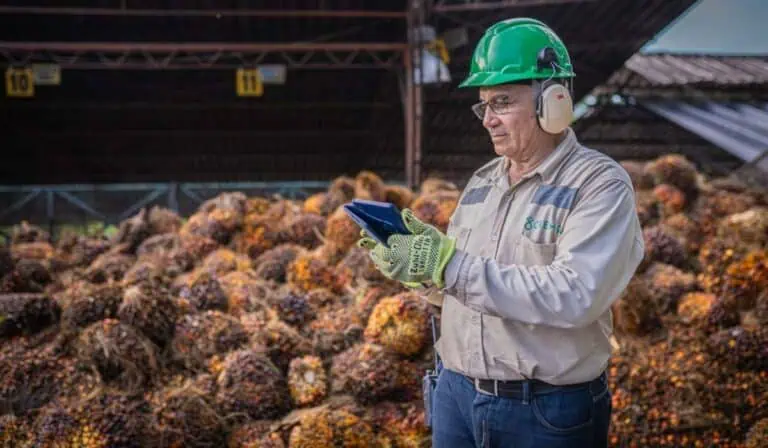 Gremca obtuvo importante reconocimiento internacional: Así convierten el aceite en biocombustible