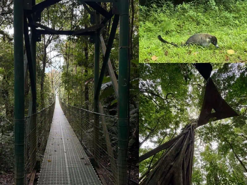 Costa Rica registra récord de turistas colombianos en 2025 El liderazgo internacional de Costa Rica en sostenibilidad turística lo consolida como un referente global en la materia. Foto: Nataly Vargas, Valora Analitik.