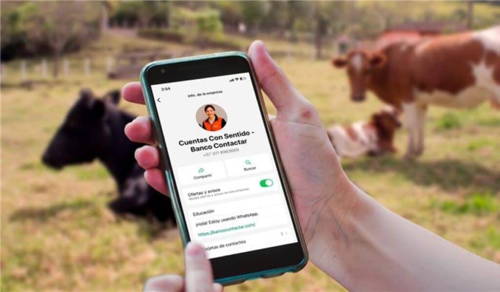 Nuevo chatbot del Banco Contactar