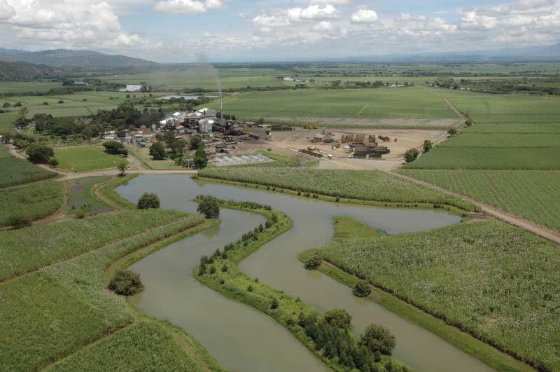 Panorámicas de Cultivo de Caña de Azúcar 