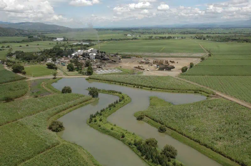 En el Valle del Cauca la innovación y la creatividad se transforman en soluciones para la bioenergía Panorámicas de Cultivo de Caña de Azúcar