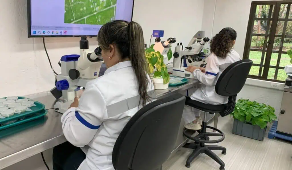 Desarrollo de tecnologías en la agricultura digital crece tres veces más rápido que el promedio Procultivos ANDI