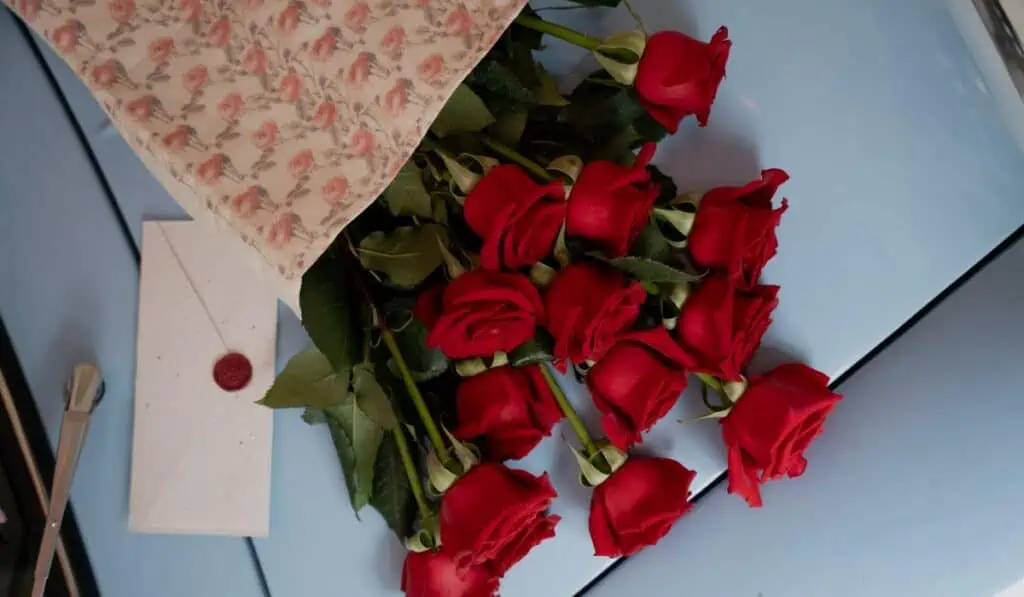 Rosas Don Eloy proyecta ventas millonarias durante Amor y Amistad Rosas Don Eloy