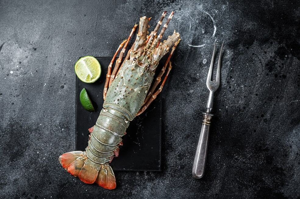 Comida de mar. Foto: cortesía. 
