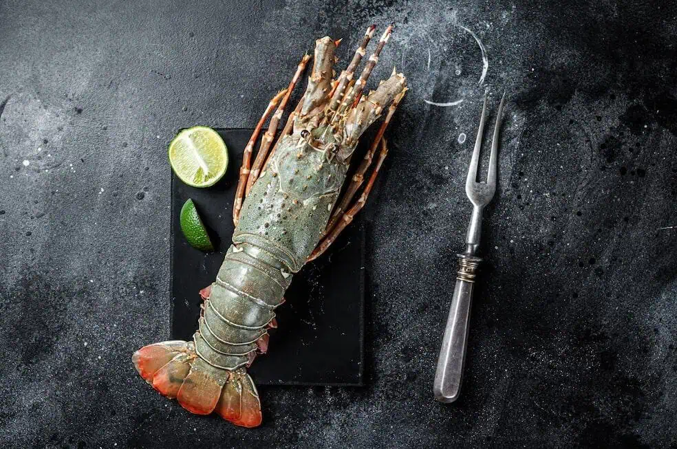 JW Marriott Bogotá abrió nuevo restaurante de carnes con cortes premium y 200 etiquetas de vino Comida de mar. Foto: cortesía.