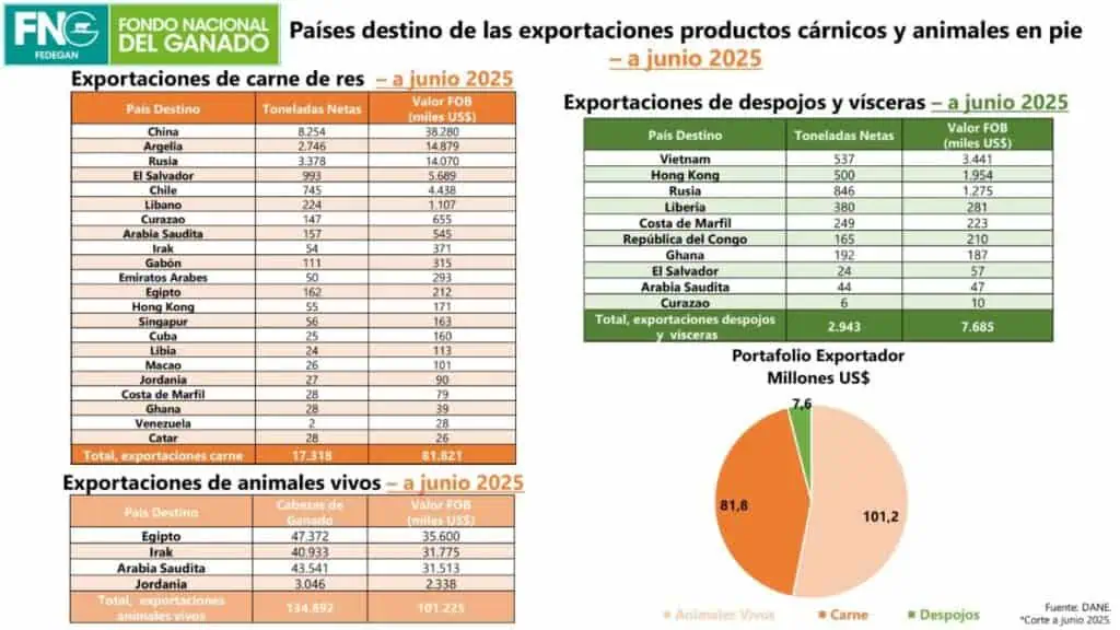 Exportaciones ganaderas y lácteas de Colombia sumaron US$216,2 millones en el primer semestre de 2025 Exportaciones ganaderas y lácteas