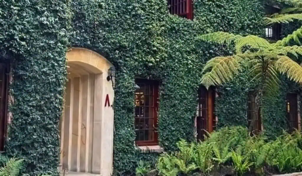 El exclusivo restaurante de comida italiana que ofrece platos de alta cocina desde $32.000 Restaurante Arrogante.