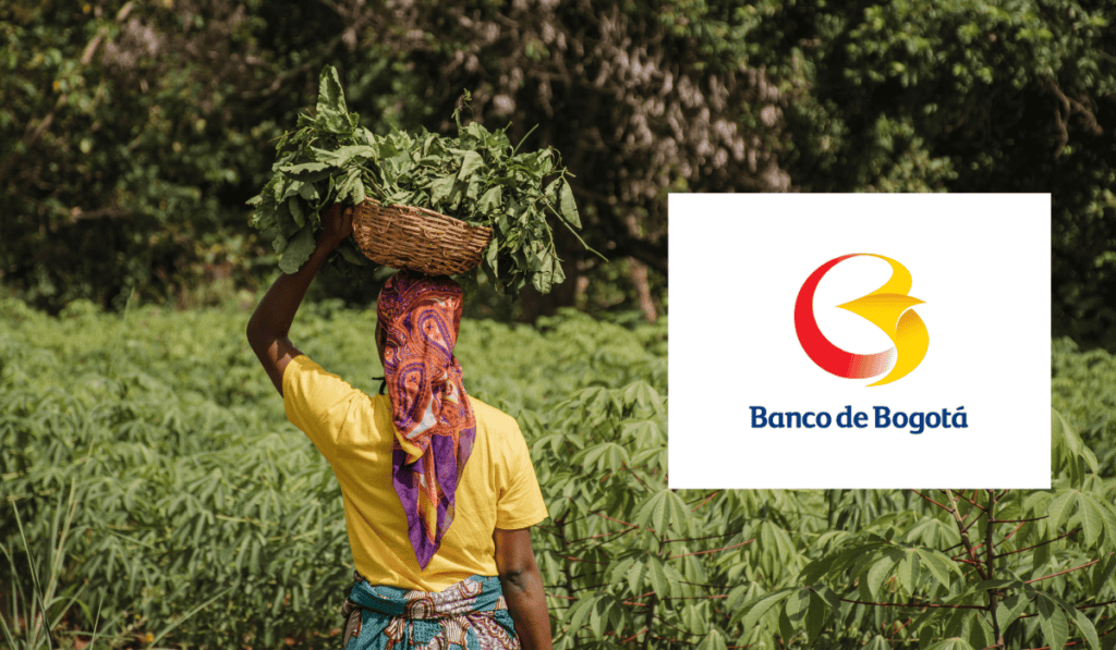 Banco de Bogotá impulsa proyectos agropecuarios con 449.699 cédulas cafeteras entregadas Banco de Bogotá impulsa proyectos agropecuarios