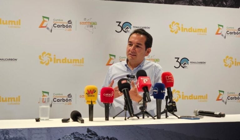 Carlos Cante, presidente de Fenalcarbón