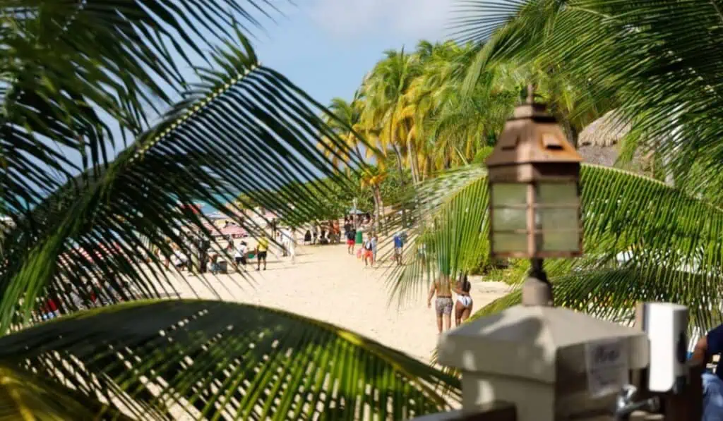 Wingo anuncia nueva ruta entre Colombia y Jamaica en Destino Oculto 2025 Destino Oculto 2025