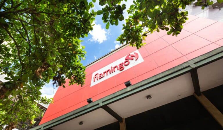 Flamingo buscará plazos para pagar a sus acreedores, tras solicitud de recuperación emmpresarial. Foto: sitio web de Flamingo.