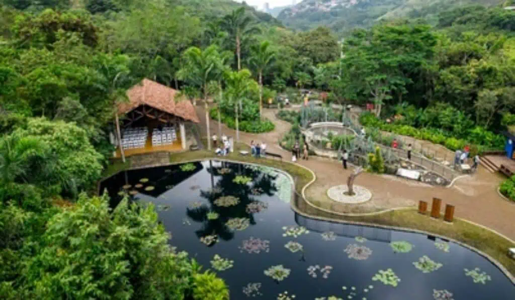 Planes económicos en Cali más allá de la salsa Jardín Botánico de Cali