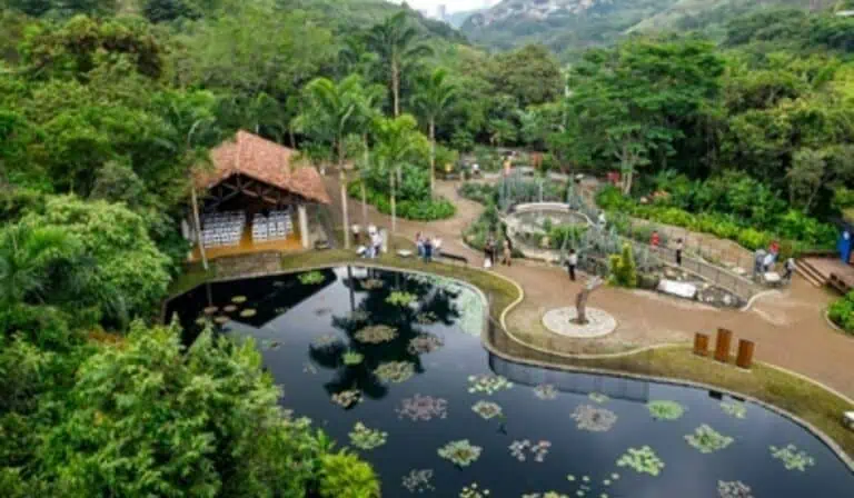 Jardín Botánico de Cali