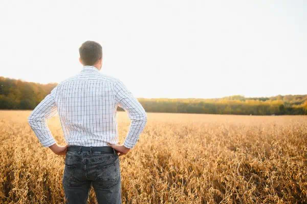 La soya, el alimento sostenible que fortalece la seguridad alimentaria en Colombia La soya, el alimento sostenible que fortalece la seguridad alimentaria en Colombia