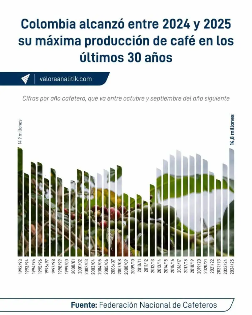 Café colombiano vive su mejor año en las últimas tres décadas: las razones tras el buen momento del grano Producción de café