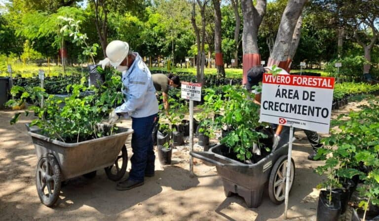 Vivero Ambiental Drummond Puerto