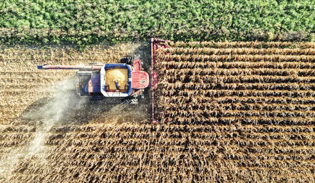 Unión Europea aprueba acuerdo comercial con Mercosur pese a fuertes protestas de agricultores Agricultores ven con preocupación el tratado entre la UE y Mercosur.