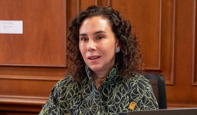 Codirectora Taboada del BanRep sugiere que mantener tasas para controlar inflación no ha sido suficiente Codirectora Taboada del BanRep