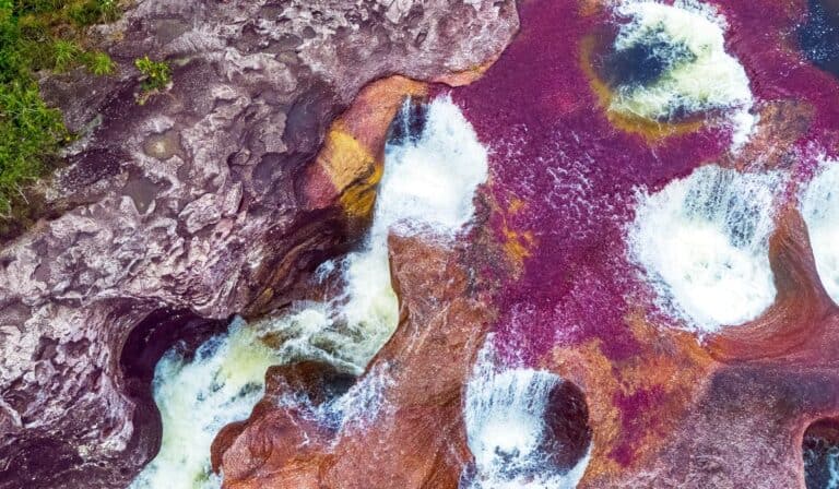 Opinión | Construir país desde la promoción internacional Construir país desde la promoción internacional