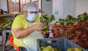 Home - Valora Analitik Inflación en Colombia seguirá disparada este año