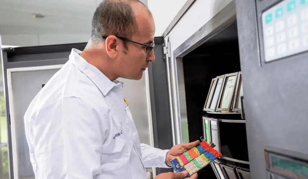 La estrategia sostenible con la que Pintuco quiere liderar la industria de pinturas en Colombia Planta de Pintuco en Rionegro.
