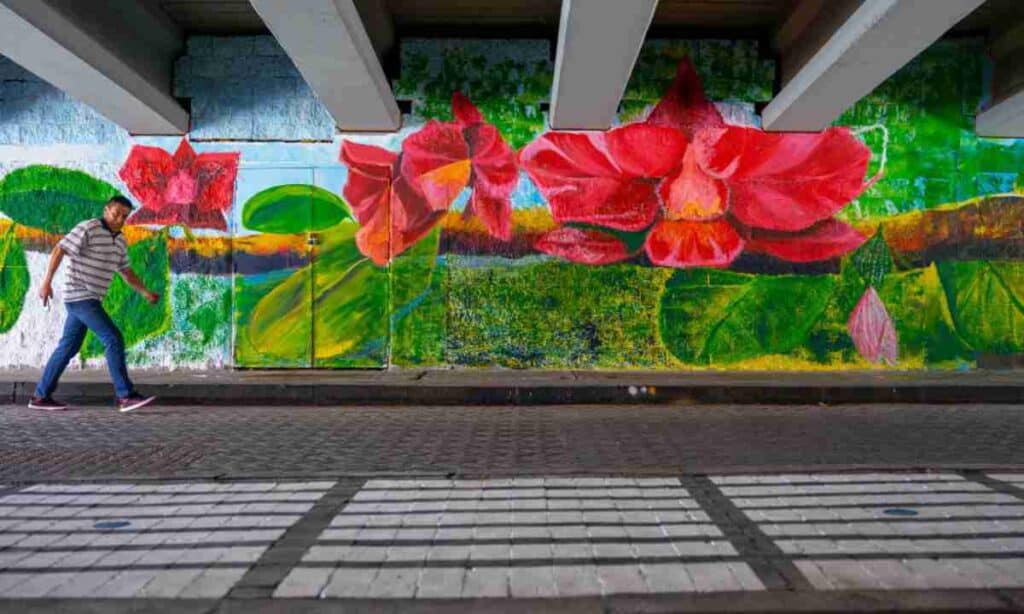 Puente de la Calle 53 con NQS fue intervenido