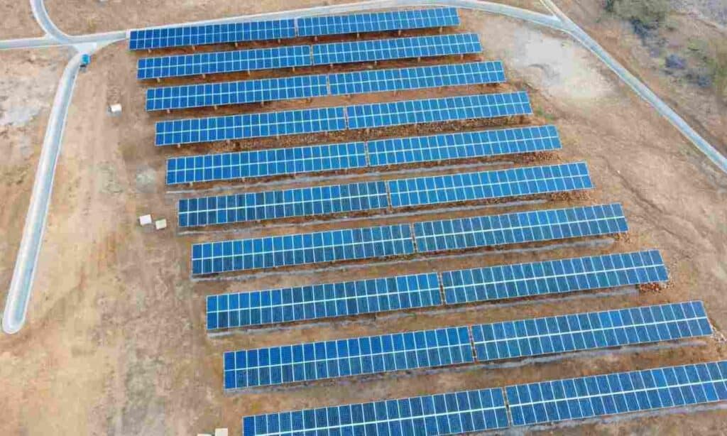 SunCompany evoluciona a holding internacional para impulsar energía renovable en la región SunCompany y su apuesta como holding para llevar energías renovables a la región