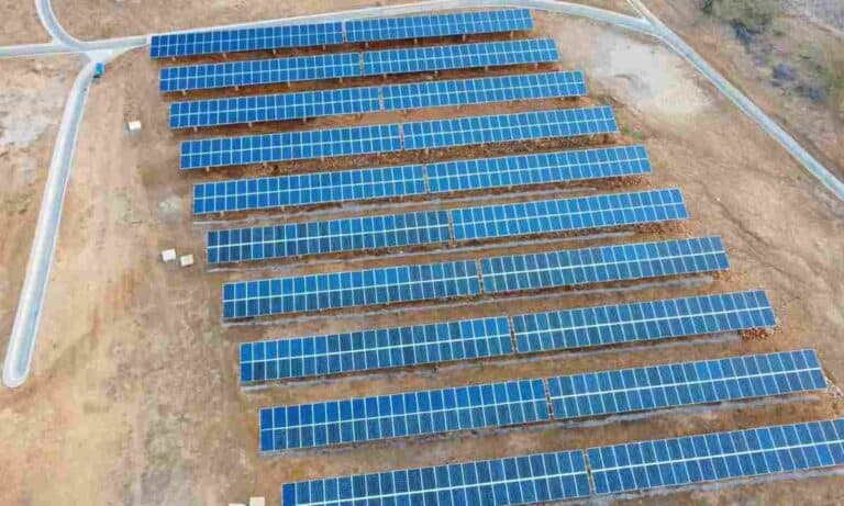 SunCompany evoluciona a holding internacional para impulsar energía renovable en la región SunCompany y su apuesta como holding para llevar energías renovables a la región