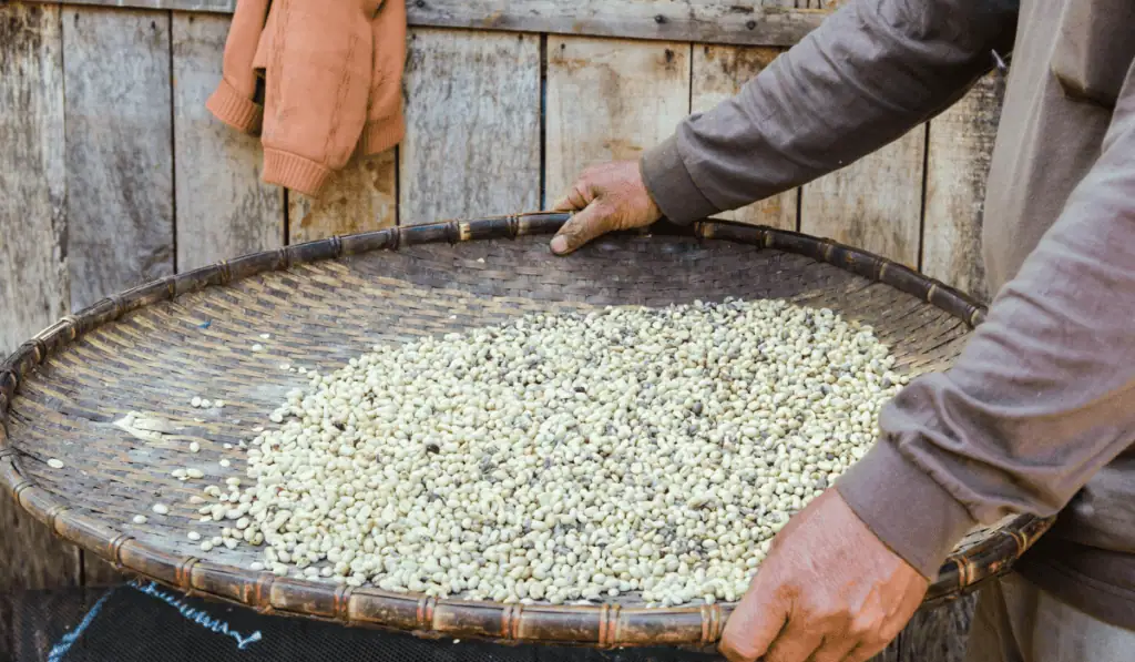 Producción industrial y ventas del comercio en Colombia aceleran su crecimiento en septiembre Producción industrial