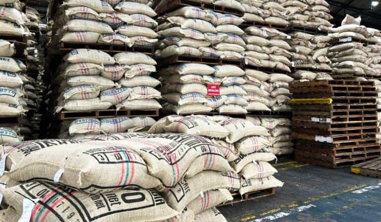 Puerto de Cartagena avanza en millonaria inversión para construcción de nueva bodega de café Puerto de Cartagena