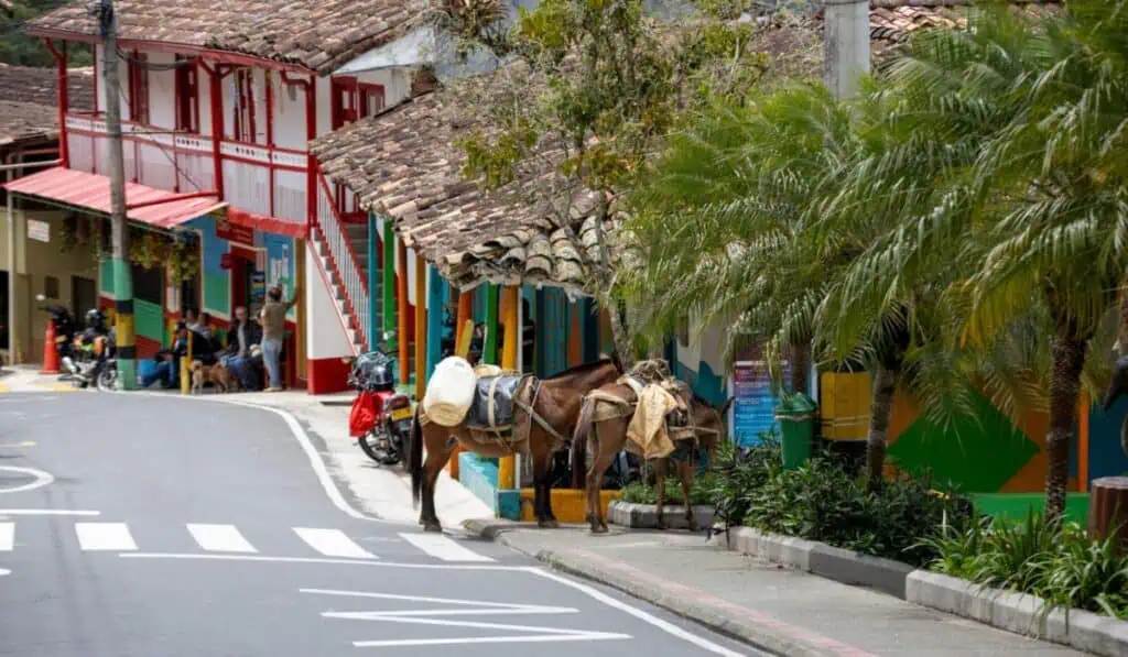 Corregimientos de Medellín para visitar en fin de año: estos son los planes corregimientos de Medellín
