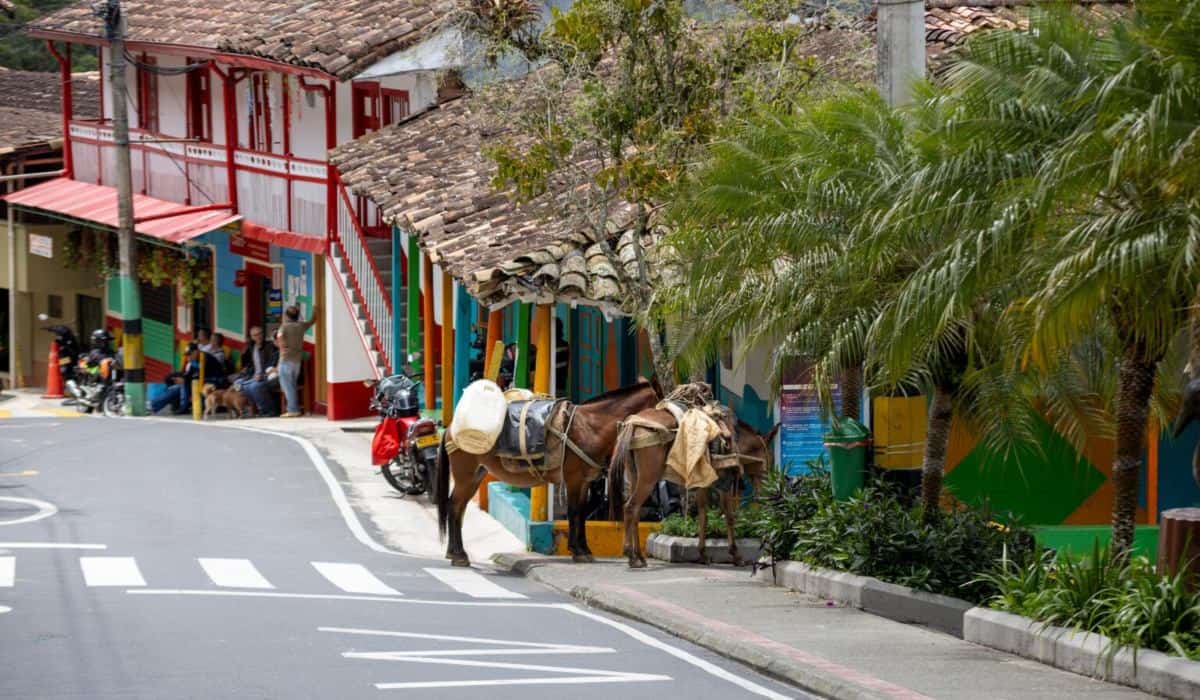 Home - Valora Analitik corregimientos de Medellín