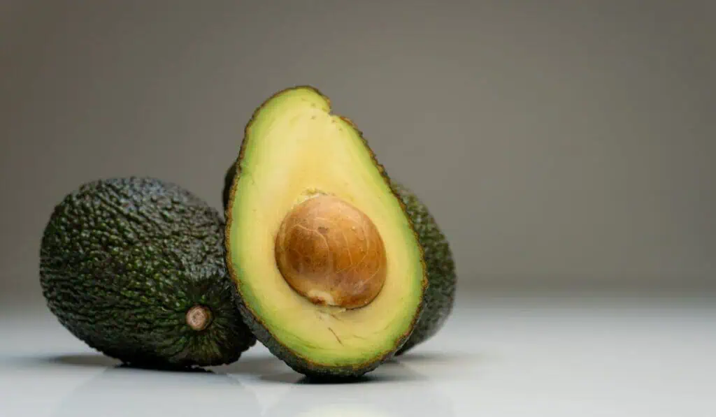 Con el acelerador a fondo: así se perfila 2026 para la industria del aguacate Hass El aguacate Hass se ubica como la tercera fruta más exportada del país.