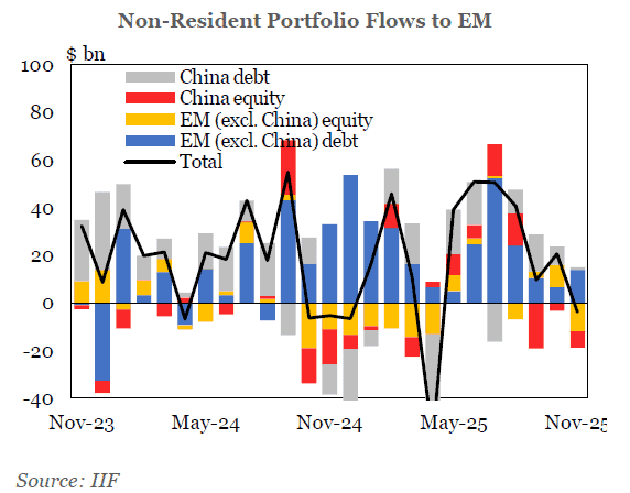 Fuerte salida de capitales en países emergentes en noviembre; se interrumpió la senda de recuperación salida de capitales