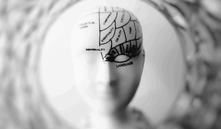 La adolescencia no termina a los 18: estudio revela las edades claves del cerebro Las edades del cerebro cuándo termina la adolescencia