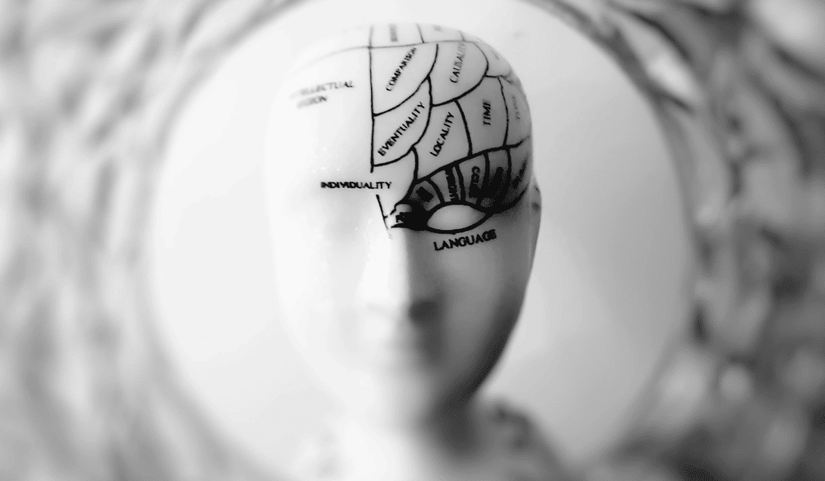 Las edades del cerebro cuándo termina la adolescencia