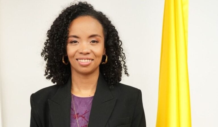 Indira Portocarrero es la nueva directora de la UPME; reemplaza a Manuel Peña Nueva directora de la UPME, Indira Portocarrero. Imagen: UPME