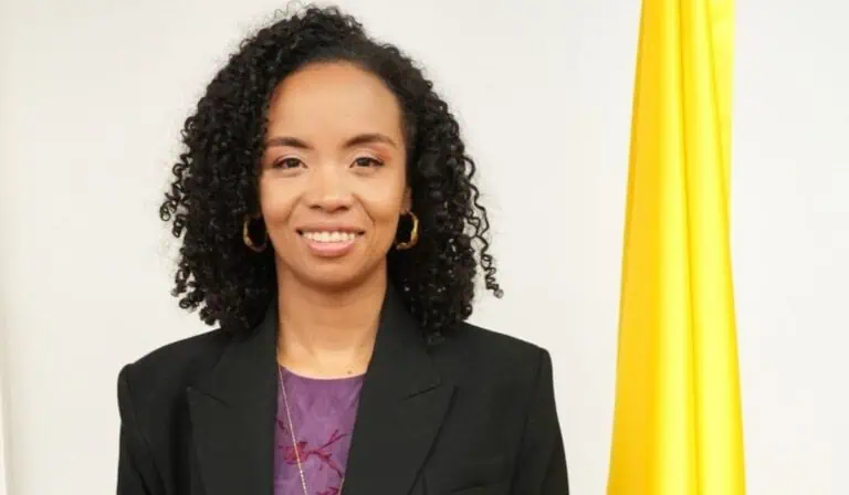 Nueva directora de la UPME, Indira Portocarrero. Imagen: UPME