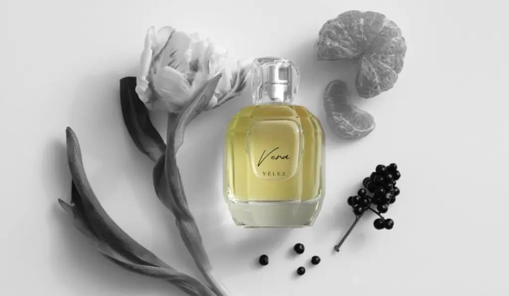 Vélez amplía su portafolio de perfumes con fragancia de alta gama: ¿Cuánto vale? Vera