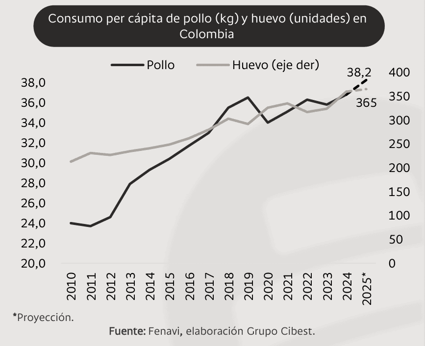 Fuerte aumento del consumo per cápita de huevo y pollo en Colombia; se abren oportunidades en mercados internacionales Huevo y pollo en Colombia