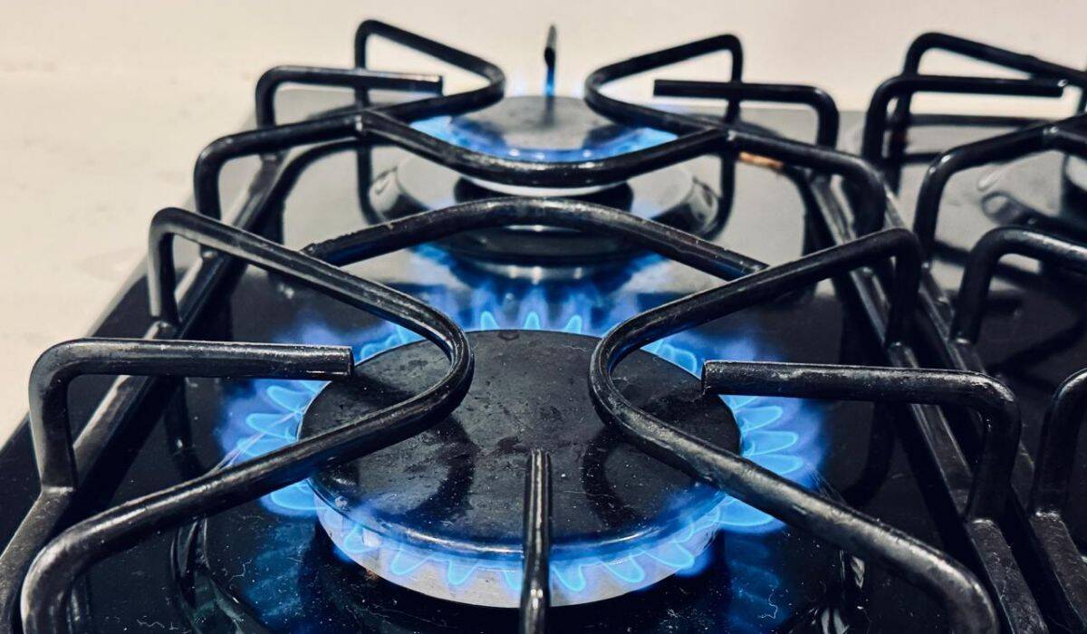 Home - Valora Analitik Gas natural. Foto: Valora Analitik.