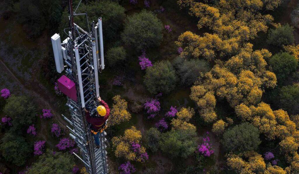 El millonario negocio de torres de telecomunicaciones en Colombia que ya se concretó; aumentará cobertura 5G en el país Ingresos del sector comunicaciones