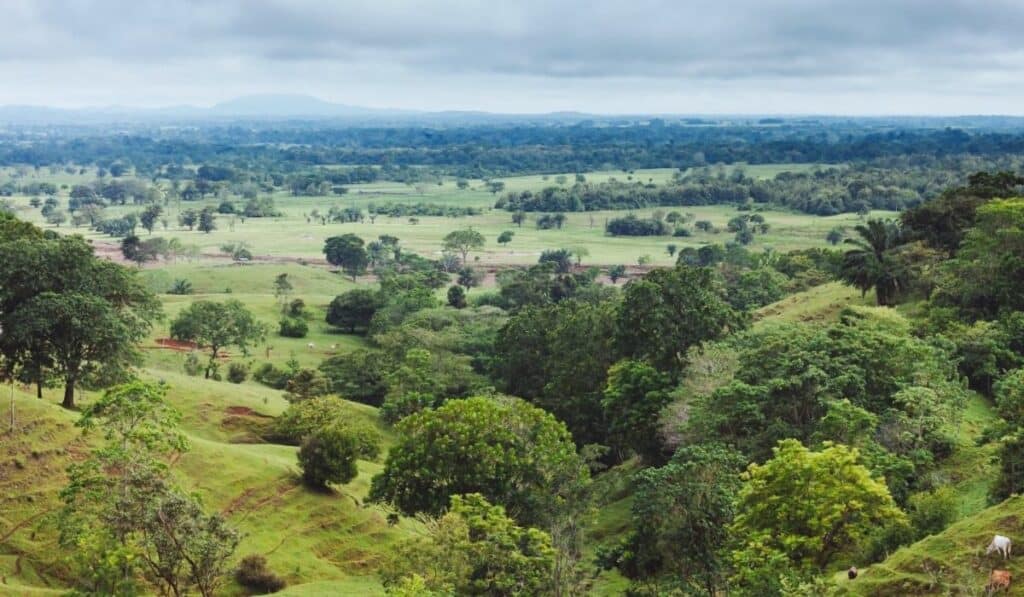 Decisión clave en materia ambiental habilitaría inversión estratégica en el sur de Córdoba Decisión clave en materia ambiental habilitaría inversión estratégica en el sur de Córdoba
