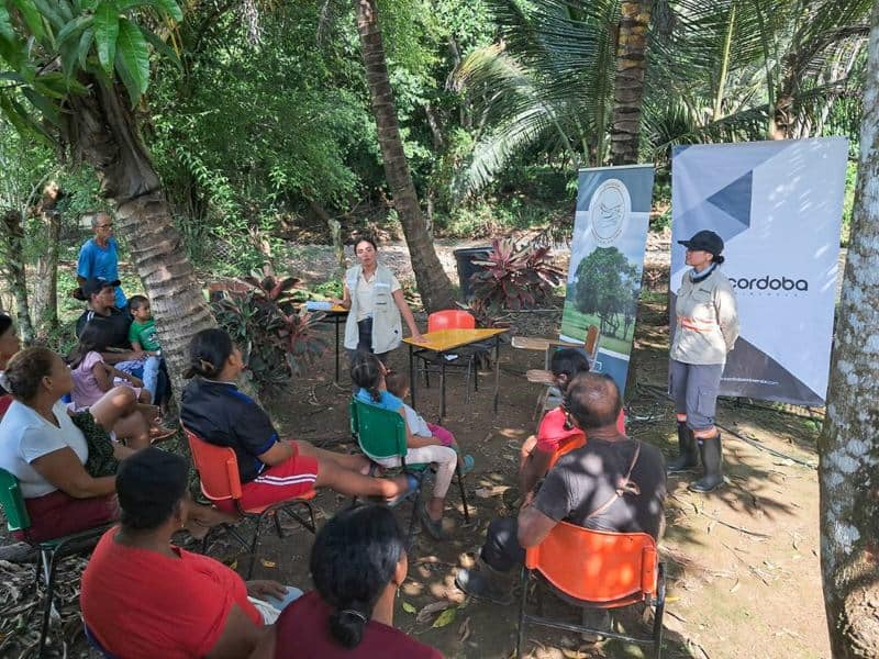 Decisión clave en materia ambiental habilitaría inversión estratégica en el sur de Córdoba El futuro del proyecto de cobre El Alacrán depende hoy de una decisión determinante relacionada con el otorgamiento de la licencia ambiental.
