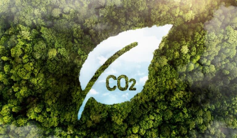 El nuevo frente de la sostenibilidad empresarial y sus desafíos: ¿de qué se trata? El nuevo frente de la sostenibilidad empresarial: ¿de qué se trata?