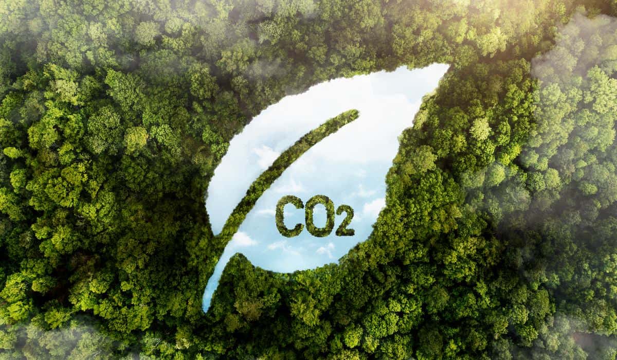 Home - Valora Analitik El nuevo frente de la sostenibilidad empresarial: ¿de qué se trata?