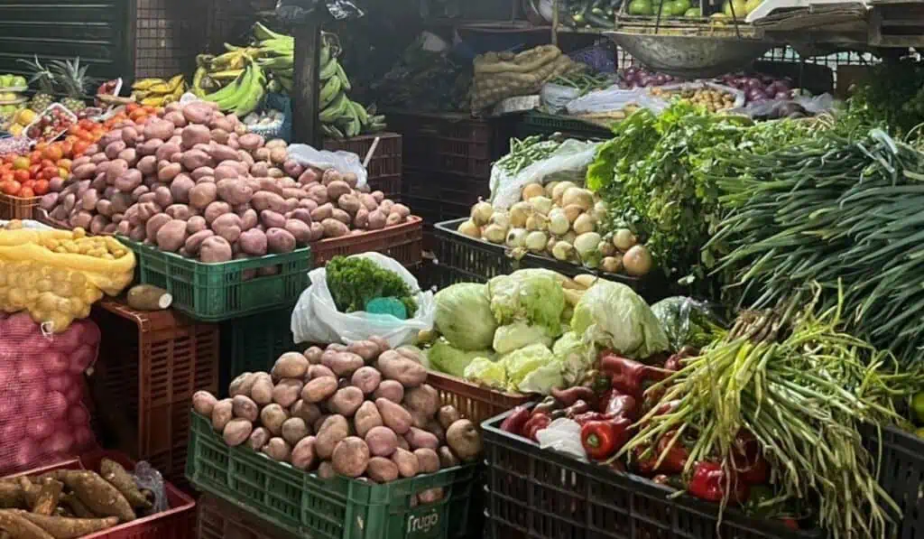Ya preocupa disparada de precios de alimentos en Colombia: carne y leche, en la mira Inflación en Colombia seguirá disparada este año